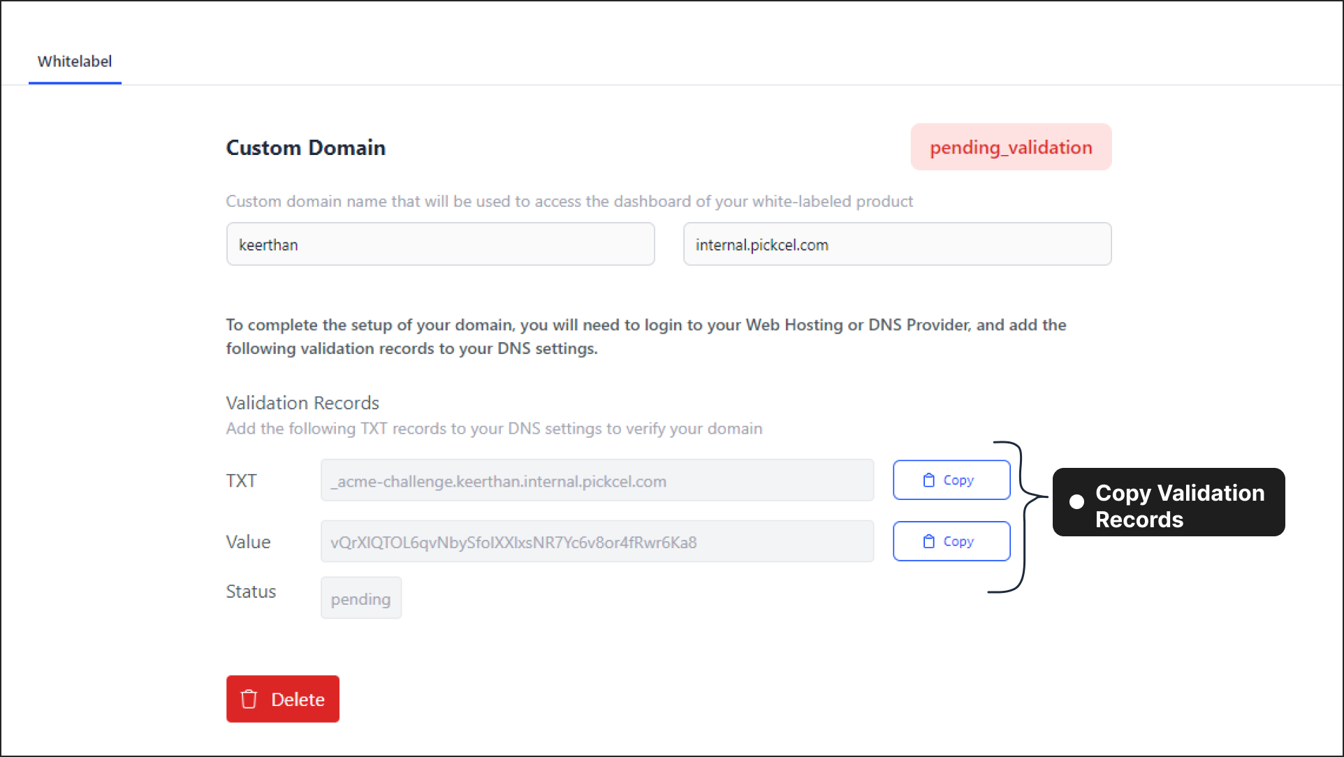 Copy Validation Records